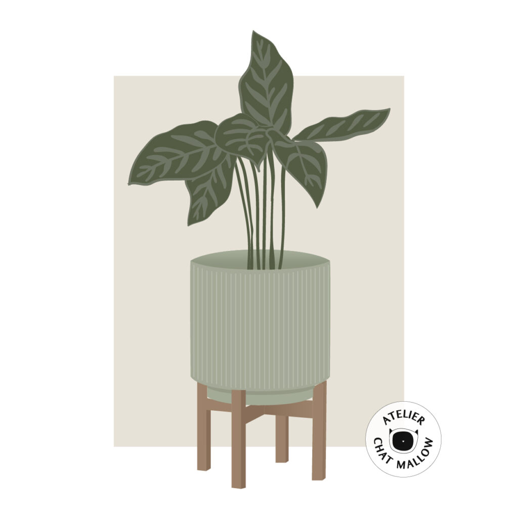 16 atelier chat mallow portfolio – illustrations