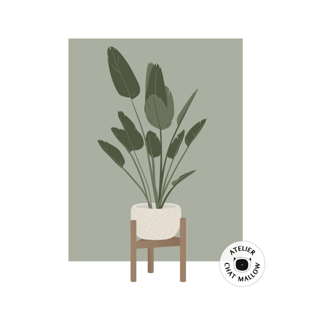 17 atelier chat mallow portfolio – illustrations