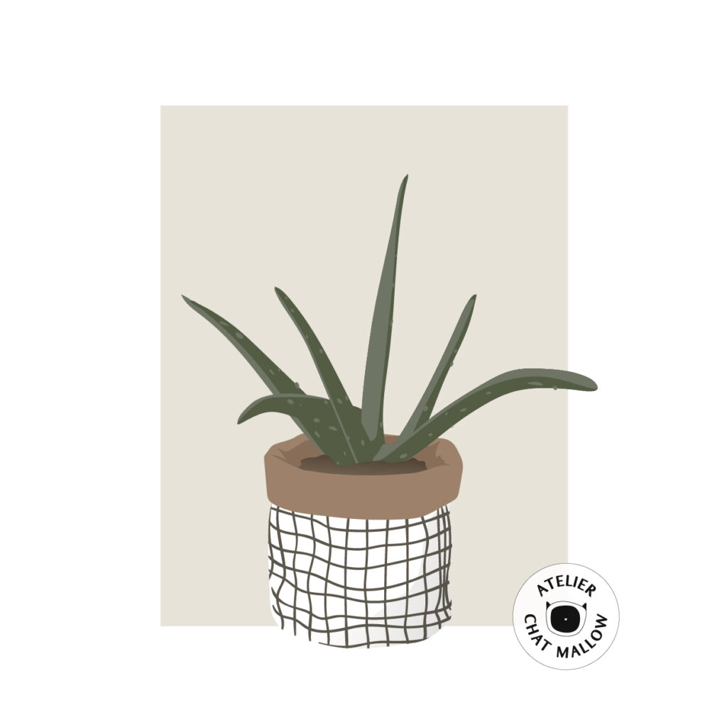 18 atelier chat mallow portfolio – illustrations