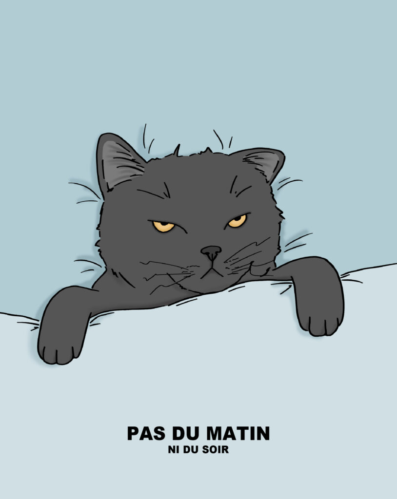 pas du matin – illustration chat