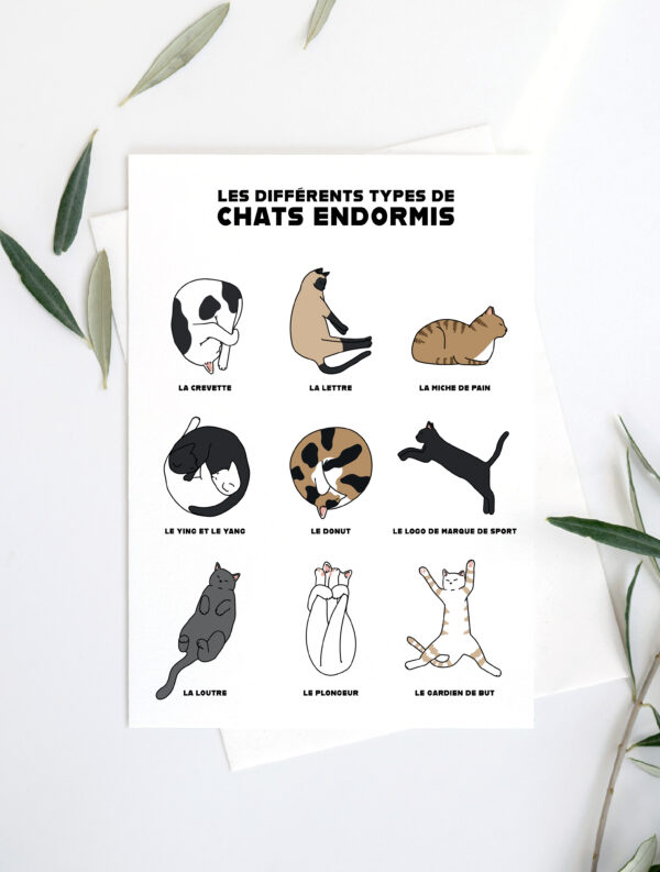 Chats endormis – Image 2