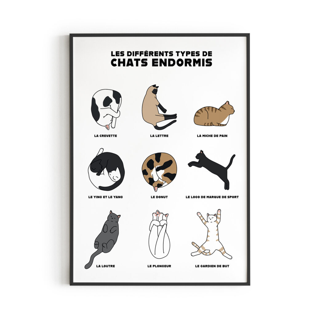 Chats endormis atelier chat mallow