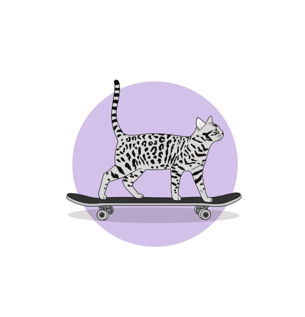 chat skater