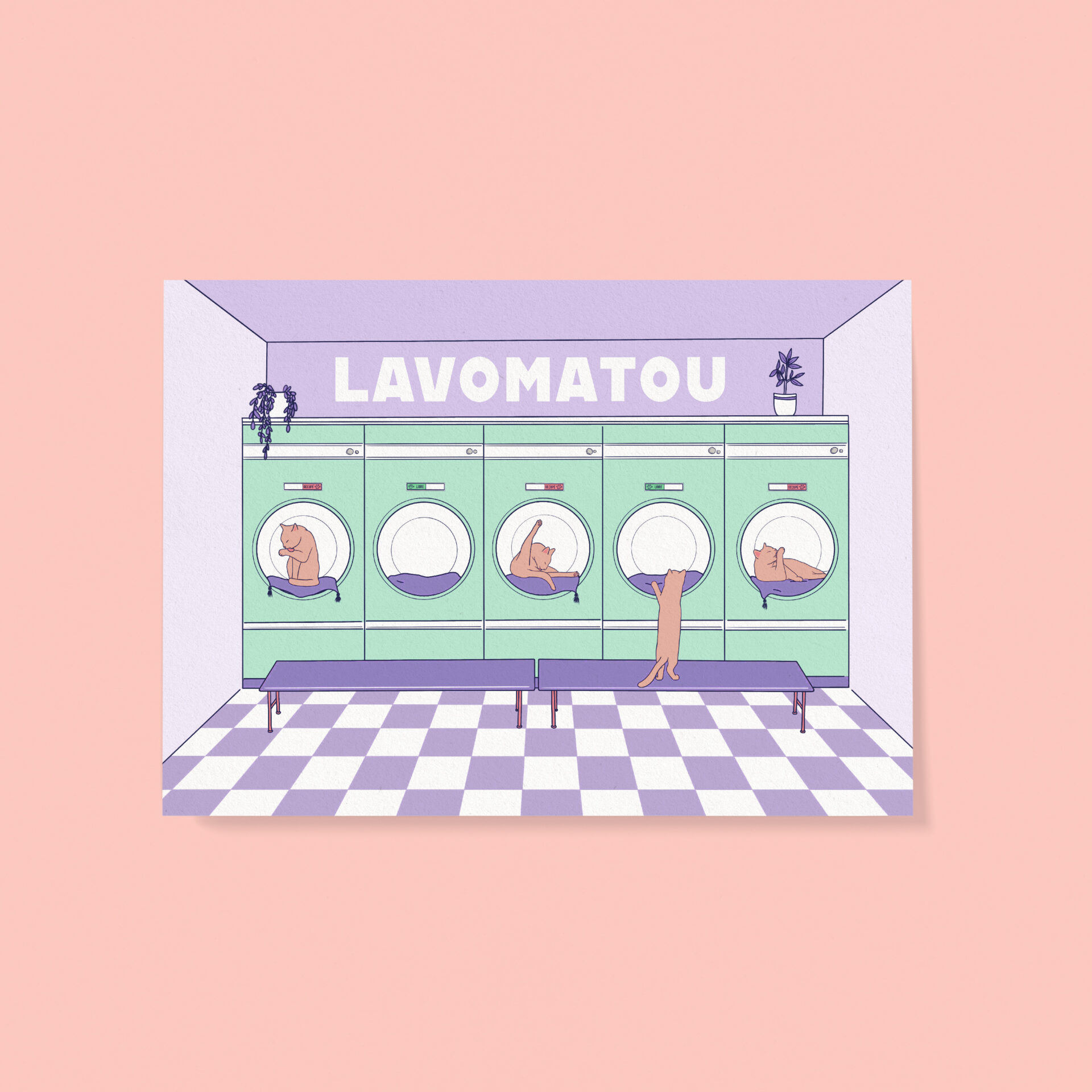 lavomatou