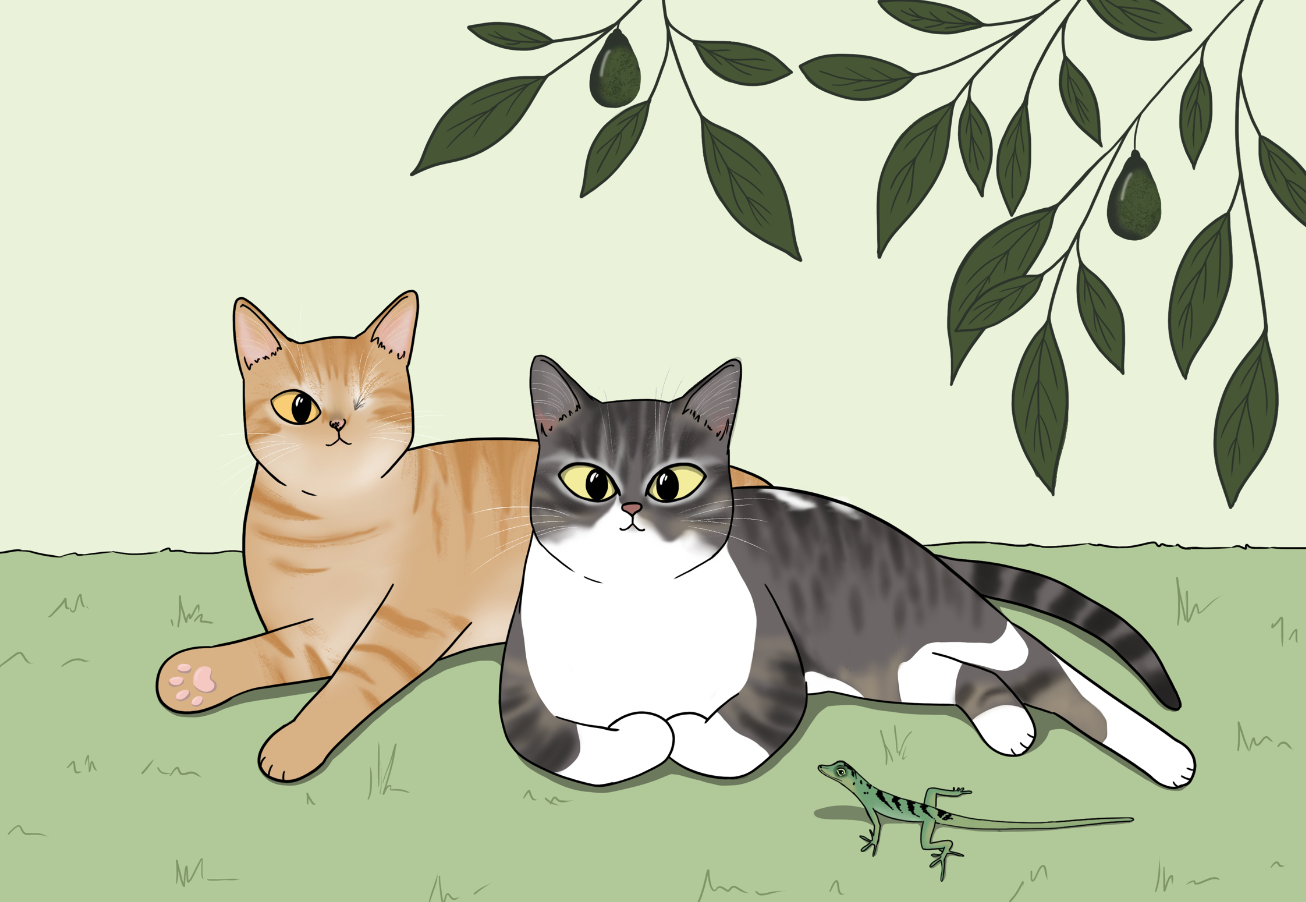 Illustration personnalisée – Image 8