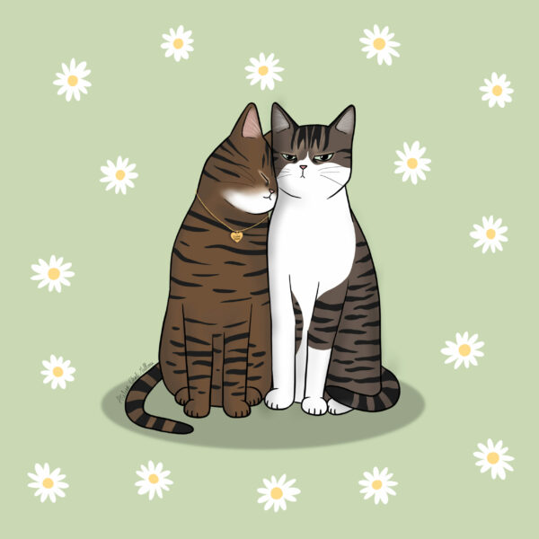 Illustration chat personnalisée
